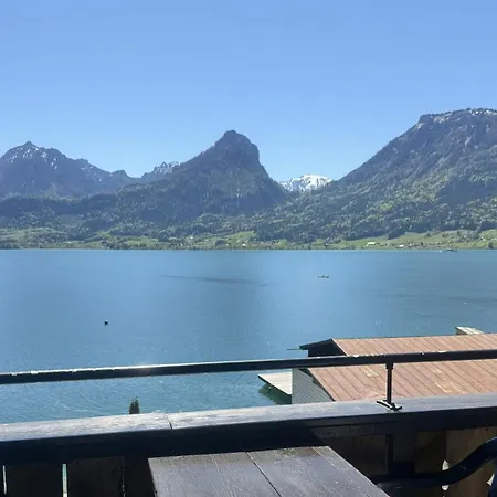 Seerose Wolfgangsee Sankt Wolfgang im Salzkammergut